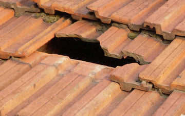 roof repair Middle Chinnock, Somerset